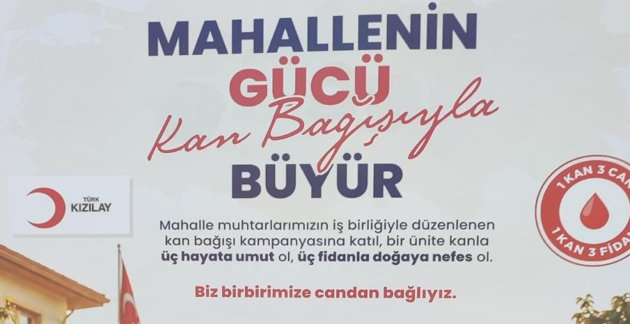 Otomatik taslak