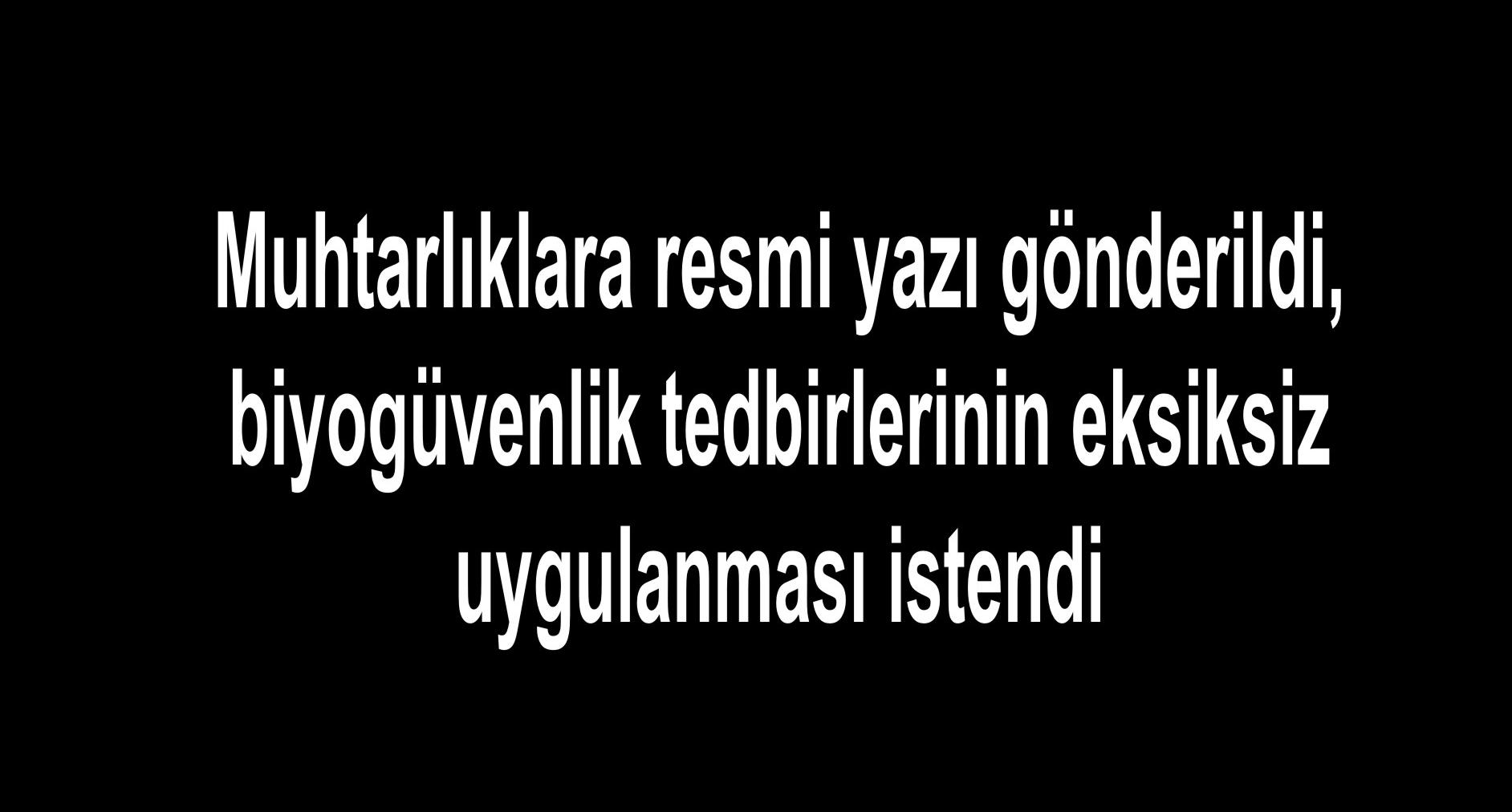 Otomatik taslak