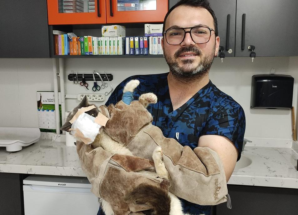 Otomatik taslak