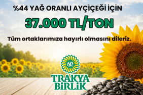 AyçiçekÖnAlım