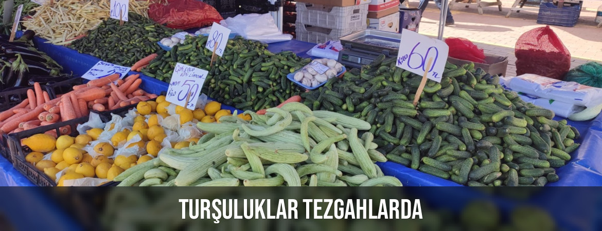 TURŞULUKLAR TEZGAHLARDA