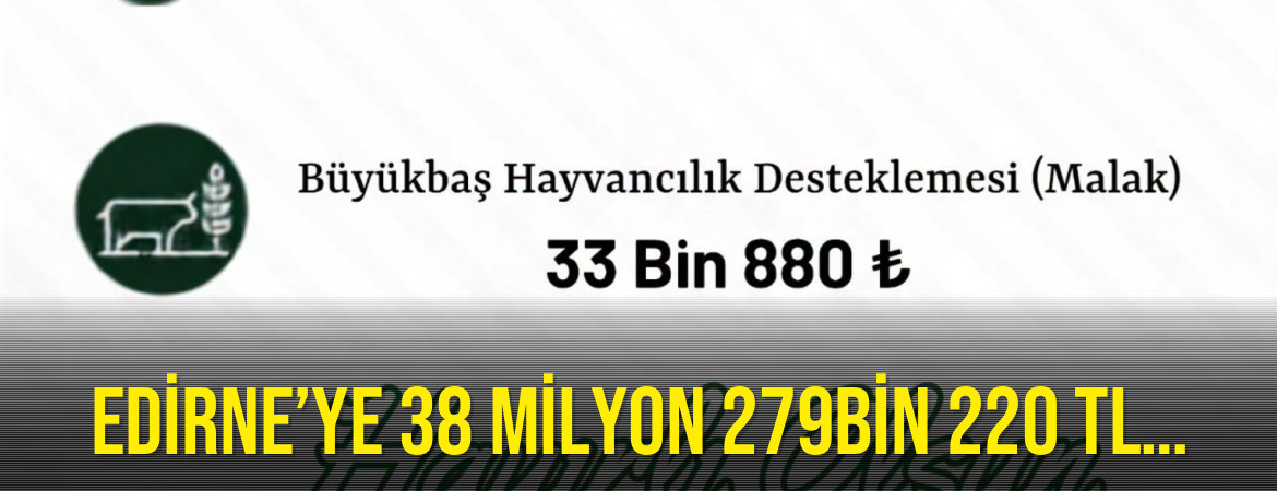 EDİRNE’YE 38 MİLYON 279BİN 220 TL…
