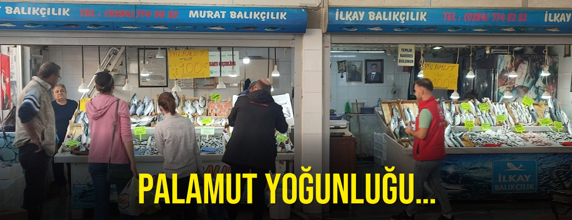 Palamut yoğunluğu…