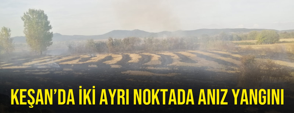 Keşan’da iki ayrı noktada anız yangını