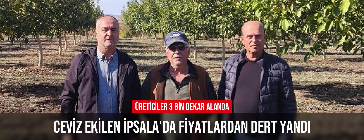 Üreticiler 3 bin dekar alanda ceviz ekilen İpsala’da fiyatlardan dert yandı